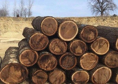 Latest company news about China Wood Pulp continues to Decline after the National Day Holidays, which may fluctuate Downward in the Short Term
