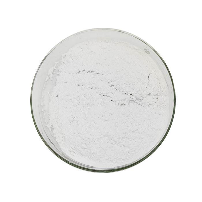 75% Catalyst Tube 25g White Liquid Ester Dibenzoyl Peroxide BPO 94-36-0
