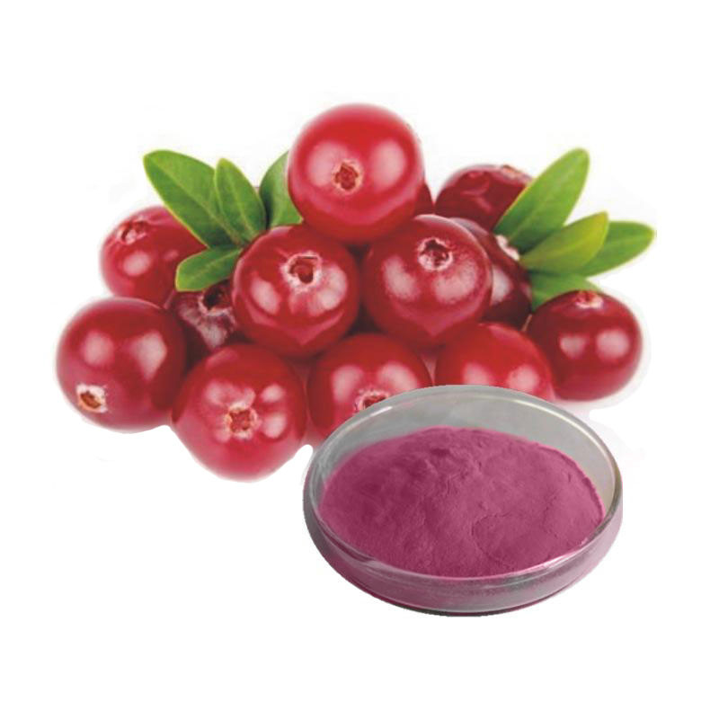 Cranberry Extract Powder 10-40% Anthocyanin Pure Cranberry Fruit Extract