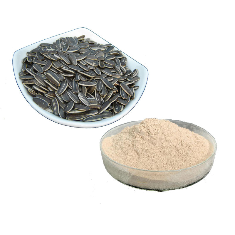 Phosphatidylserine Powder Sunflower Seed Extract Lecithin Powder 1kg/Alu Bag