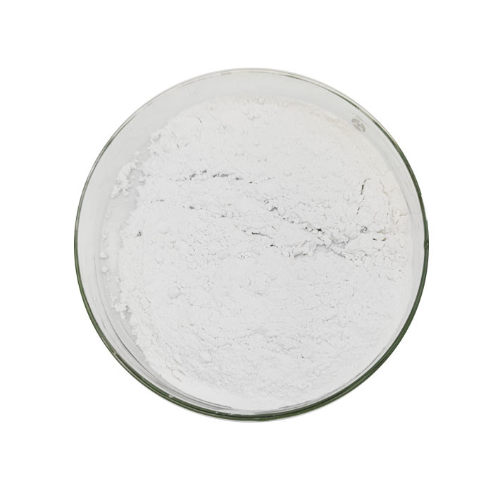 Premium Hydroxypropyl Methyl Cellulose (HPMC) CAS 9004-65-3 Versatile Chemical Additive