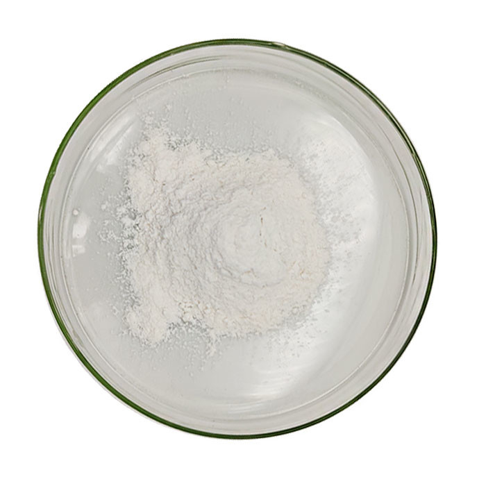 Top Quality Hydroxypropyl Methyl Cellulose HPMC CAS 9004-65-3 for Effective Additive Solutions