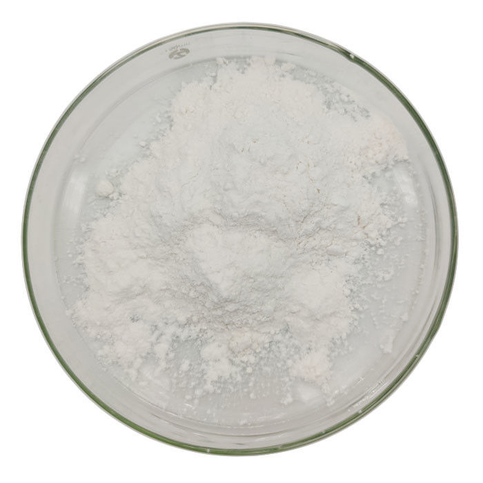 Sodium Benzoate Chemical Additives for Food Grade CAS 532-32-1 Distributor