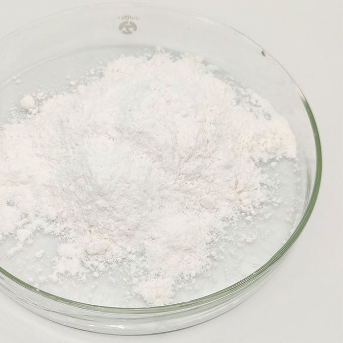 Sodium Benzoate Chemical Additives for Food Grade CAS 532-32-1 Distributor